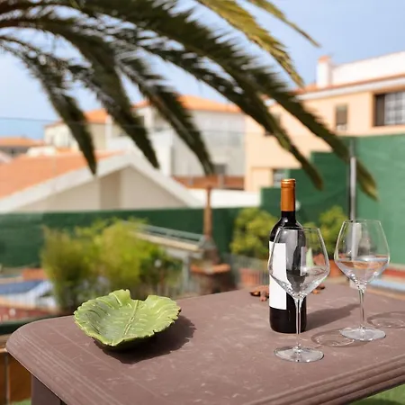 Palmeras, Un Remanso De Paz Tatil Evi Candelaria