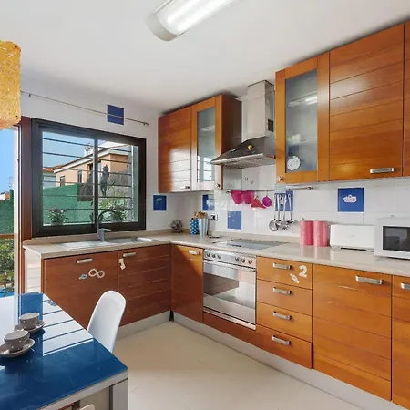 Palmeras, Un Remanso De Paz Candelaria