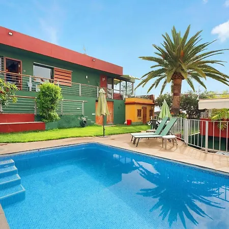 Palmeras, Un Remanso De Paz * Candelaria