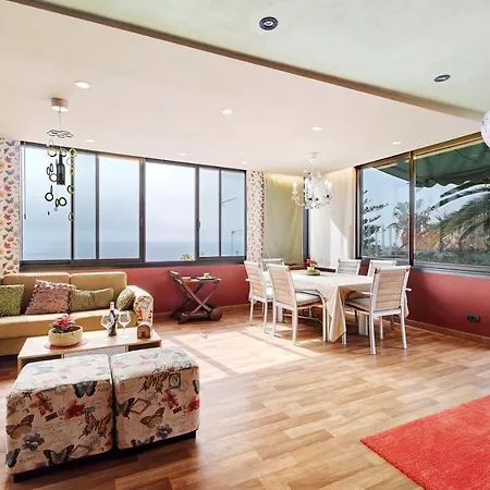 Palmeras, Un Remanso De Paz Candelaria