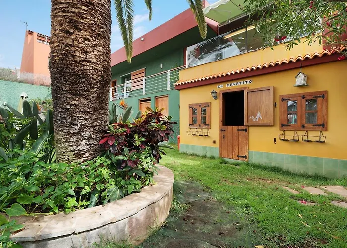 Palmeras, Un Remanso De Paz Candelaria